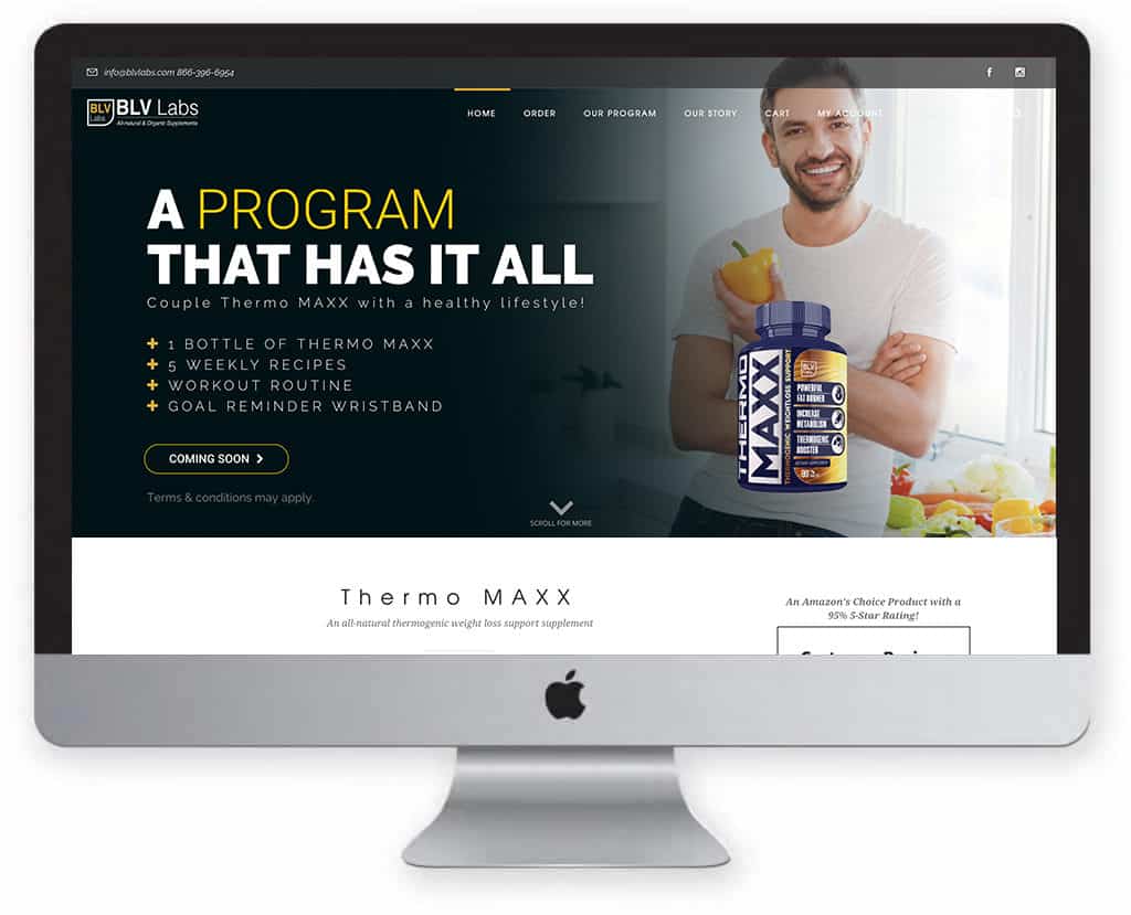 website design
